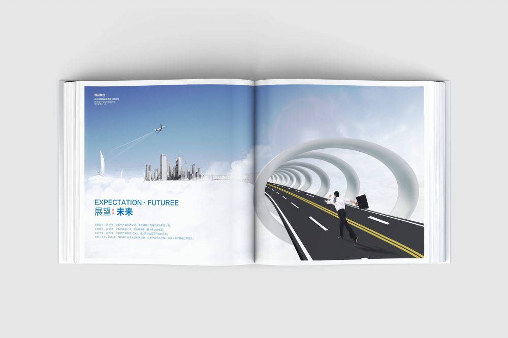 东湖区画册设计